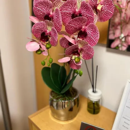 Apartment Cristal Calea Bucuresti *