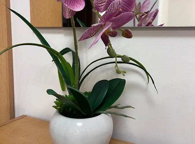 Cristal Calea Bucuresti