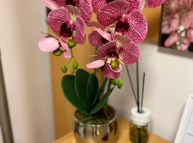 Appartement Cristal Calea Bucuresti *